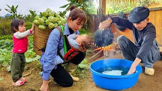 Single mother: picking kohlrabi to sell - Grandpa always surprises his grandchildren | Ly Phuc Binh