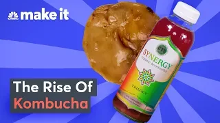 How Kombucha Became A $500 Million Opportunity