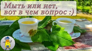 Нужно ли мыть листья для ферментации чая - мой опыт и эксперимент!