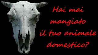 Hai mai mangiato il tuo animale domestico? - Creepypasta ITA