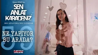 Nefes’in pazarlıkçı ruhu! - Sen Anlat Karadeniz 59.Bölüm