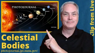 What are the Celestial Bodies moving around the Sun?  Planets - Asteroids - Comets - Dwarves Planets