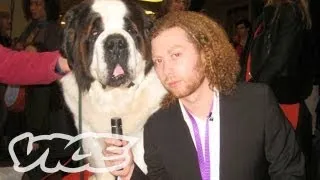 Westminster Dog Show... On Acid!