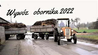 Wywóz obornika od byków 2022 Borekagroteam