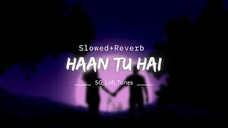 Haan Tu Hai - KK , Pritam Jannat | Jo Khwabo Khayalo Mai Soche Nahi Tha [ Slowed And Reverb ] Song