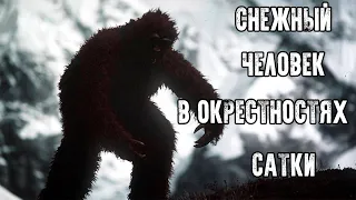 СНЕЖНЫЙ ЧЕЛОВЕК - СНЕЖНЫЙ ЧЕЛОВЕК В ОКРЕСТНОСТЯХ САТКИ