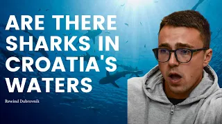 Are There Sharks in Croatia's Waters?