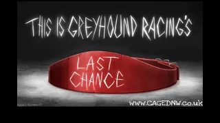 Last Chance Greyhound Racing