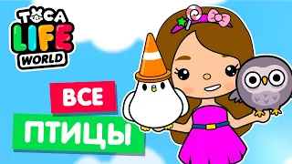 СОБРАЛА ВСЕХ ПТИЦ в Тока Бока 🦆 Toca Life world