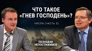 Что такое «гнев Господень»? | Числа (часть 5) | Познавая непостижимое (27/50)