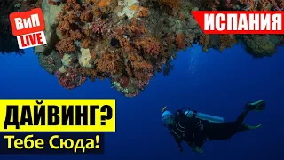 Отдых в Испании | Аликанте, дайвинг, гольф, цены на продукты и жилье, местная кухня, влог, 2019