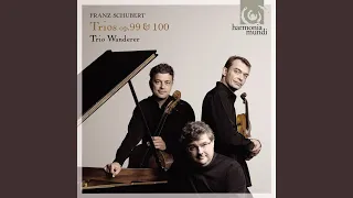 Piano Trio No. 2 in E-Flat Major, Op. 100, D. 929: II. Andante con moto