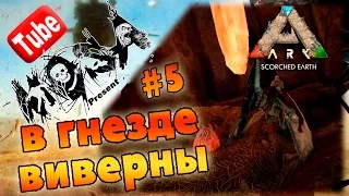 ARK Scorched Earth (выжженные земли) #5 В гнезде Виверны