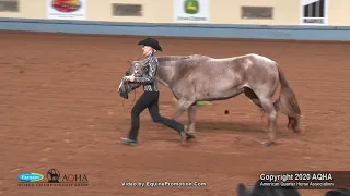 2020 AQHA Showmanship