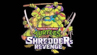 Teenage Mutant Ninja Turtles: Shredder's Revenge [Steam] [With Friends] (Commentary)