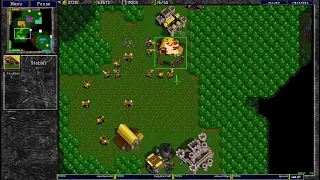 Warcraft 2  6.5.2024