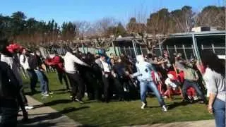 HARLEM SHAKE FLASH MOB