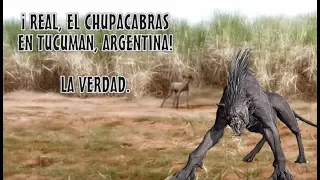 ¡ REAL, EL CHUPACABRAS EN TUCUMAN, ARGENTINA !...LA VERDAD.