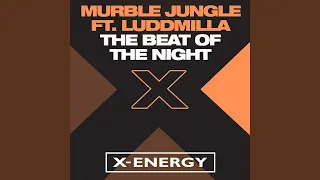 The Beat of the Night (feat. Luddmilla) (M.B.R.G. Remix)