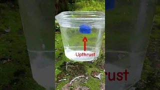 Upthrust | Buoyant force | Floatation #floatation #upthrust #physics #experiment #shortvideo #viral