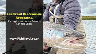 SEA TROUT FISHING RIO GRANDE ARGENTINA - AT SAN JOSE LODGE.