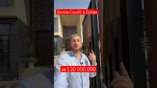 Смотрим виллу за ＄20 млн в Дубае