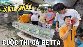 Cuộc thi Cá Betta xấu nhất Việt Nam cùng Anh Nhí Betta và cái kết