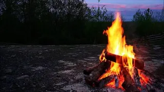 Campfire Sounds - Relaxing Forest and Nature Soundscape: Camping Under the Stars 10 Hours