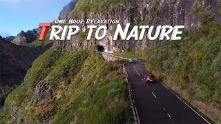 Trip to Nature - One Hour Relaxation - 4K Aerial Drone Footage