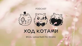 Ход Котами № 126: Шашлык по вебке