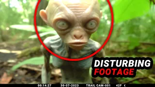 Trail Cam Exposes UNREAL Proof: Real Deal or Hoax?