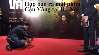 SỰ THẬT ĐẰNG SAU PHIM CẬU VÀNG