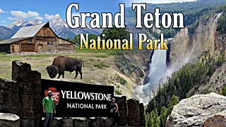 Grand Teton and Yellowstone National Parks || Wyoming