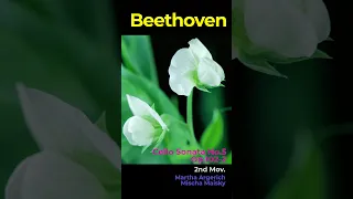 Beethoven Cello Sonata No.5 Op.102-2 2nd Mov. (Maisky Argerich)