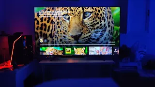 Console Gamers DREAM BUDGET TV! For PS5 and XBOX Series X! Hisense 65" 4K 120hz ULED Quantom DOT TV!