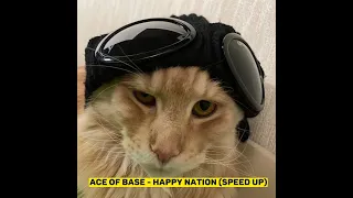 Ace of Base - Happy Nation (speed up)