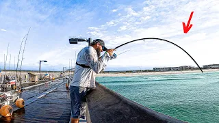 I Threw A Jig Off This Pier And ACCIDENTALLY Hooked A MONSTER!