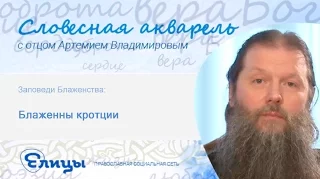 Блаженны кротции. Протоиерей Артемий Владимиров. Заповеди блаженств