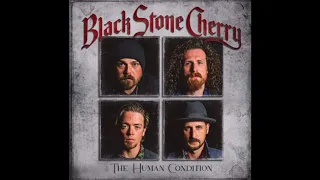 Again-Black Stone Cherry