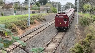 Melbourne's Vintage 'Red Rattler' Electric Train! (4K)