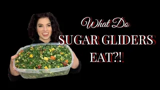 SUGAR GLIDER DIETS | What I feed my sugar gliders | Preparation and Walkthrough!