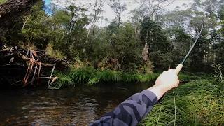 LITTLE STREAM BIG BROWN TROUT fly fishing Victoria.
