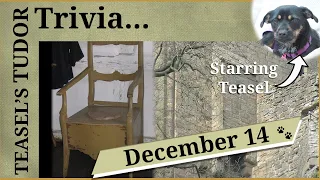 Teasel's Tudor Trivia - 14 December - Going to the bathroom Tudor style