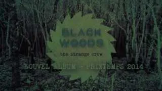 Black Woods - EPK The Strange Crow