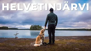 Telttaretki koiran kanssa Helvetinjärven kansallispuistoon 🏕️🐕