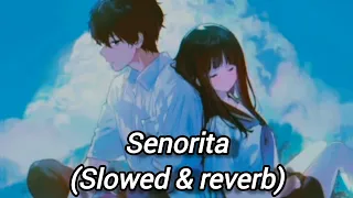 senorita (slowed & reverb)