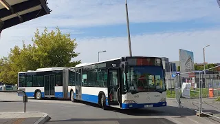 KPA Kombus - linia 501 | Mercedes - Benz O530G Citaro #5051
