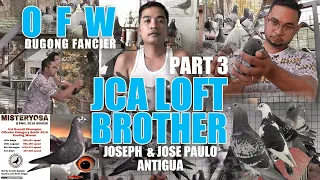 Secrets of JCA brother Loft in Pigeon Racing Part 3