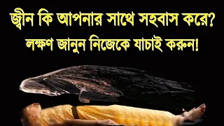 জ্বীন আপনার সাথে সহবাস করে কি না যাচাই করুন! লক্ষণগুলো জানুন!