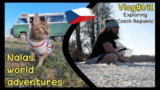 Icy dip, kingfishers and skull castle 🐦😻 Vlog #141